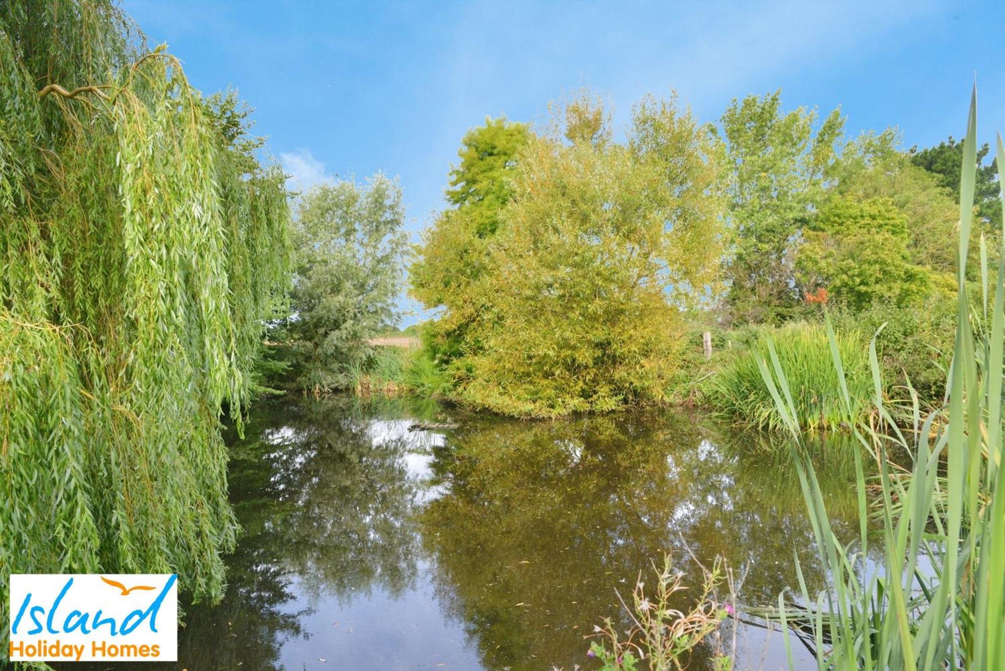 Willows Calbourne Luaran gambar